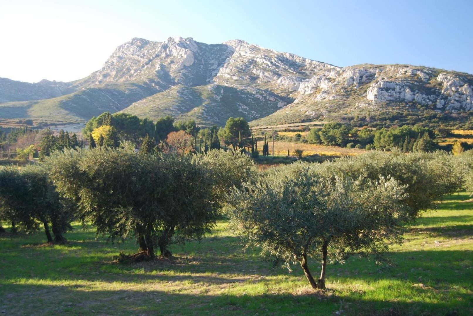 Sous Le Soleil Des Alpilles Apartment Mouries Luaran gambar