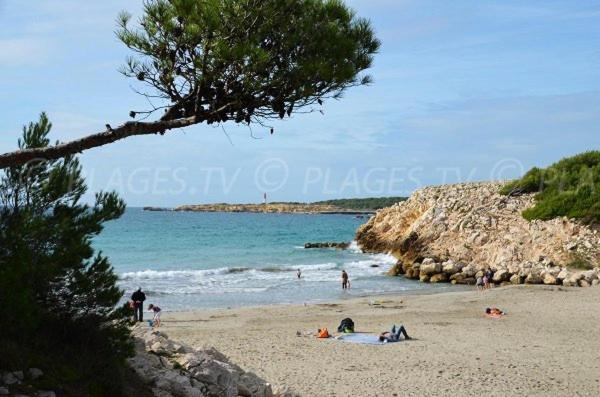 Sous Le Soleil Des Alpilles Apartment Mouries Luaran gambar